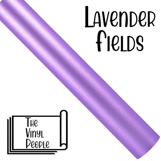 Lavender Fields
